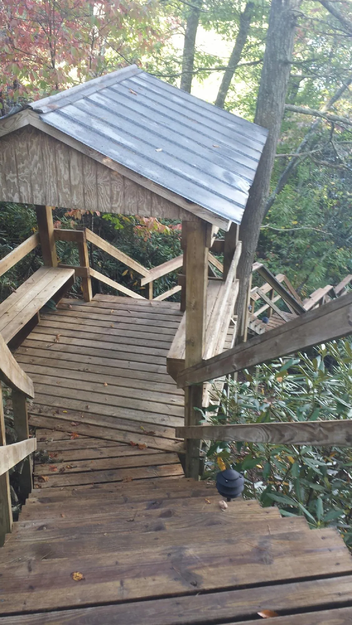 Metal roofed shelter over wooden steps on a wooded walkway — Skylight Repair & Installation work by our crew in Mosheim